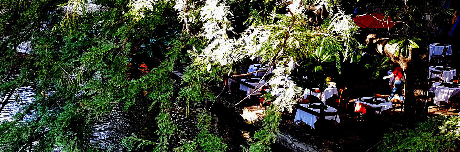 Acupuncture San Antonio Family Integrative Health