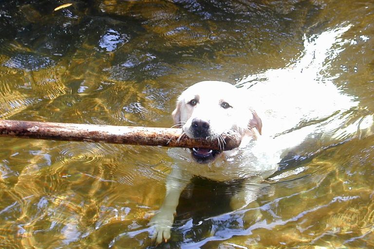 Image depicting summer-day-1393348-1279x1000