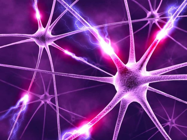 alzheimer’s-disease-awareness-month-brain-functional-medicine alzheimer's-disease-awareness-month-brain-functional-medicine