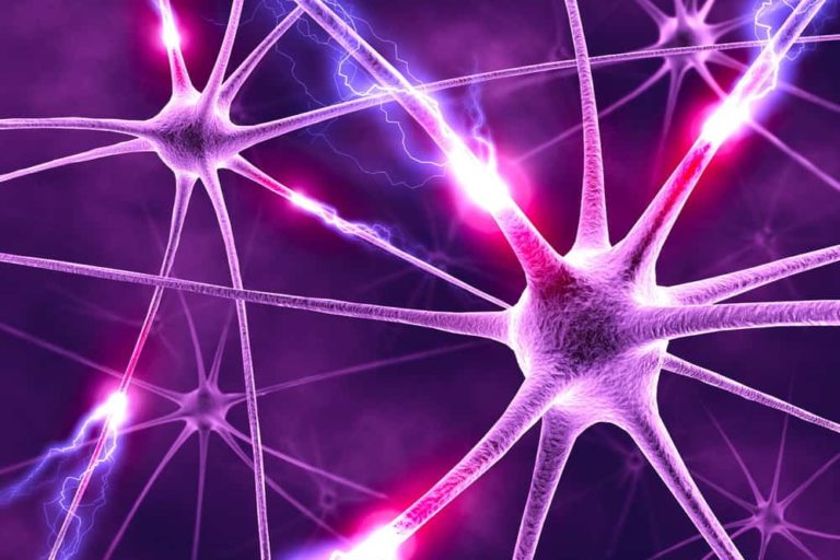 alzheimer's-disease-awareness-month-brain-functional-medicine